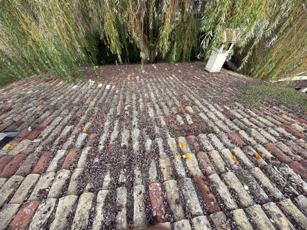 Toiture tuiles canal anciennes encrassees avant demoussage