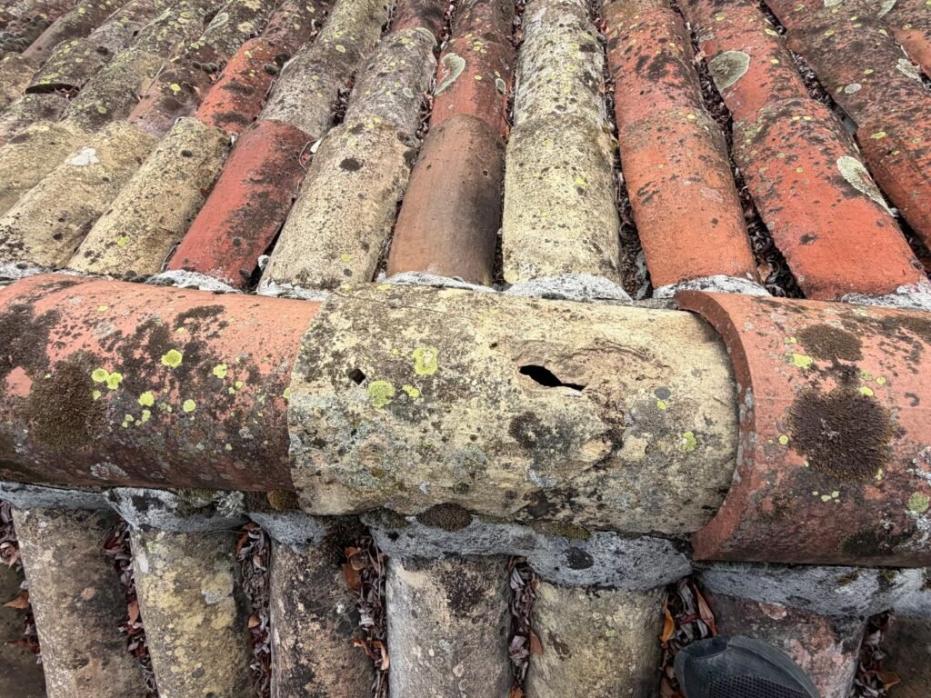 Tuile faitiere fissuree lichen a remplacer